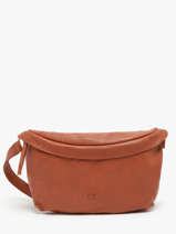 Heuptasje Biba Bruin leather CLU1L