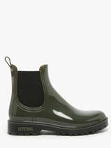 Regen Laarzen Gaudi Brillo Verbenas Groen women 76002435