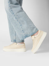 Sneakers Uit Leder Tommy hilfiger Beige women 8462ACJ-vue-porte