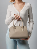 Schoudertas Alpes David jones Bruin alpes 4-vue-porte