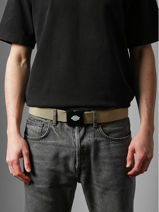 Riem Orcutt Dickies Beige orcutt KD0A4X7E-vue-porte