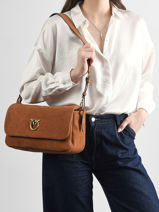 Schoudertas Love Bag Soft Pinko Bruin love bag soft 6178A0F6-vue-porte