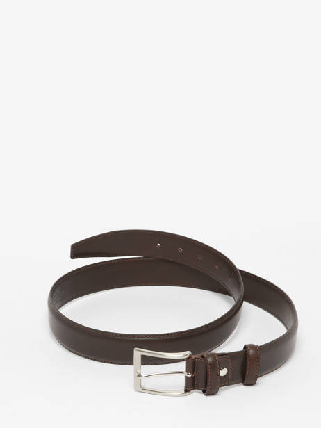 Riem Etrier Bruin bride 222543 ander zicht 3