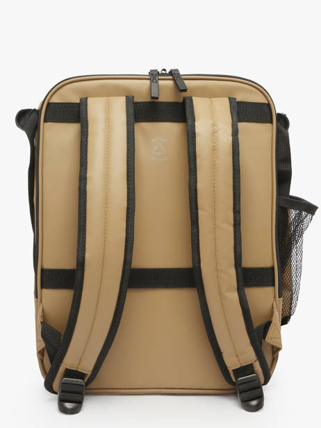 Business Rugzak Delsey Beige maubert 2.0 3813640W ander zicht 4