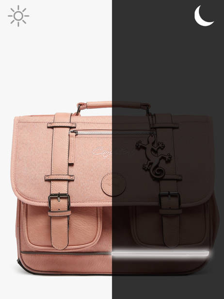 Boekentas 2 Compartimenten Cameleon Roze vintage color CA38 ander zicht 7
